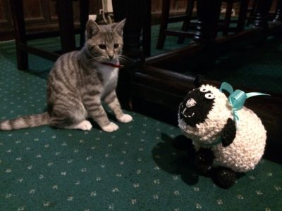 Advent Sheep Trail cat and sheep